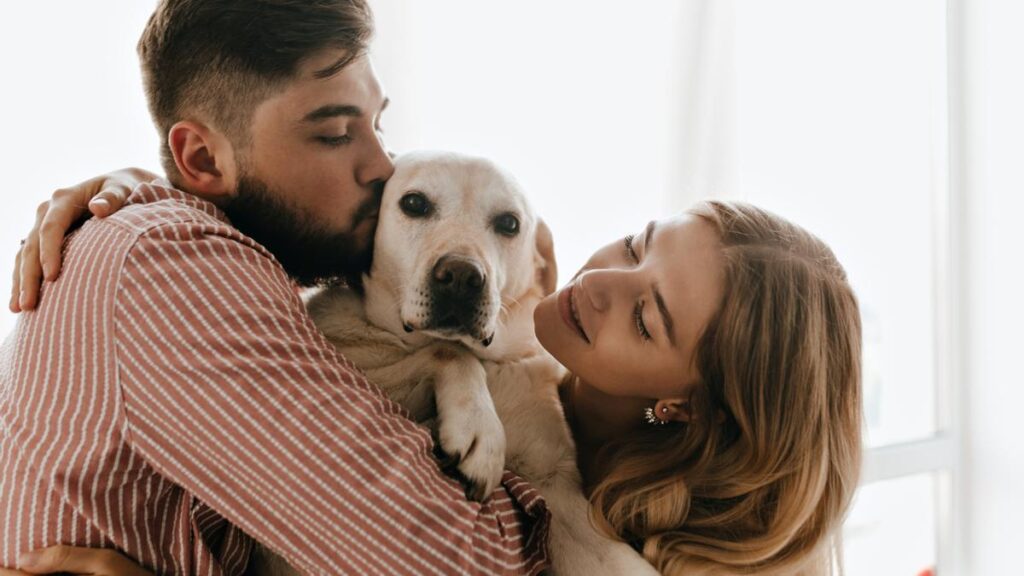 ¿Por qué las parejas modernas prefieren a las mascotas que a los niños?